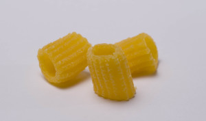 Cannolicchi